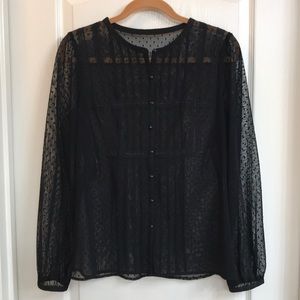 LOFT sheer button up